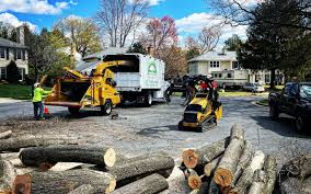 Trusted Kirkland, IL Tree Removal and Landscaping Services Experts